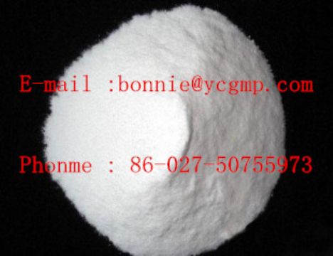 Praziquantel   With Good Quality